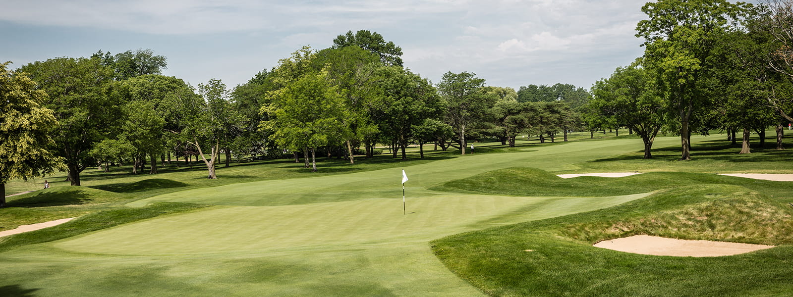 The Course banner