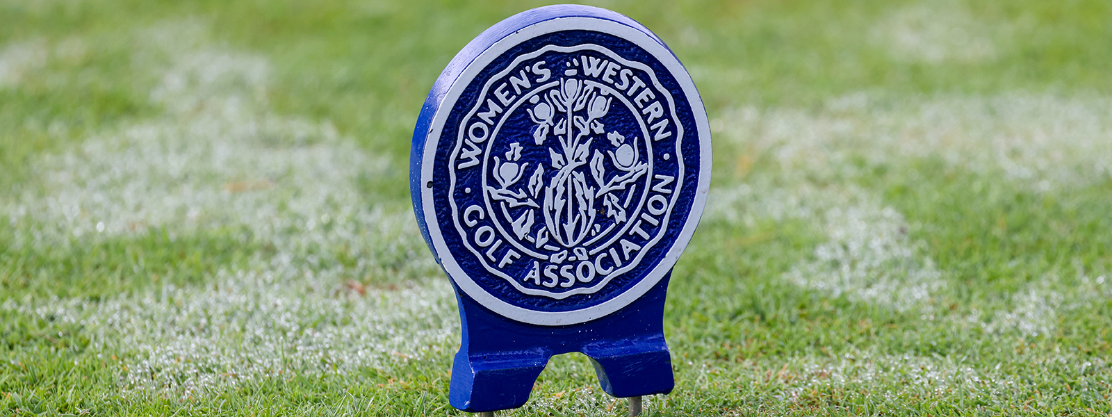 Handicap Cart Request banner