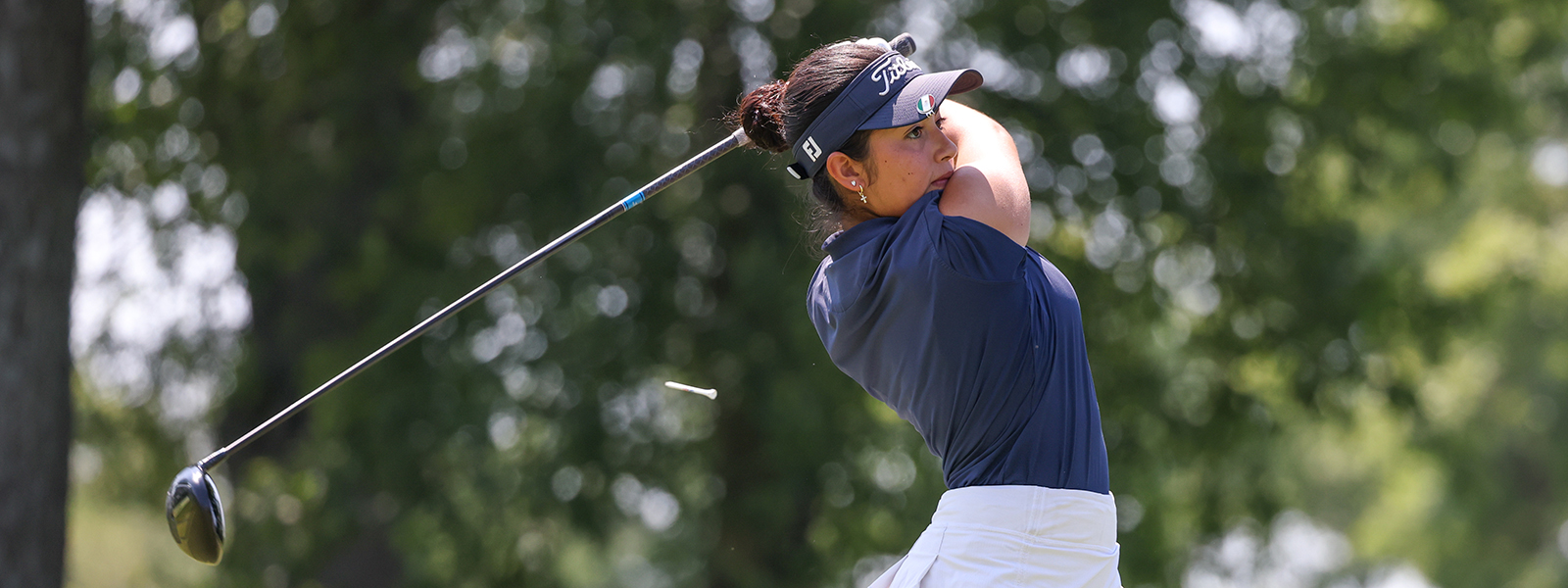 Application Information banner